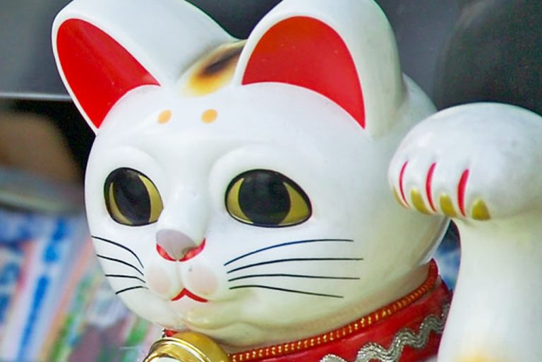 Les chats japonais : Entre tradition et races - Les Animaux Du Futur