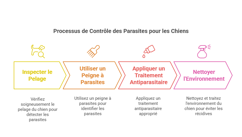 controle des parasites du chien