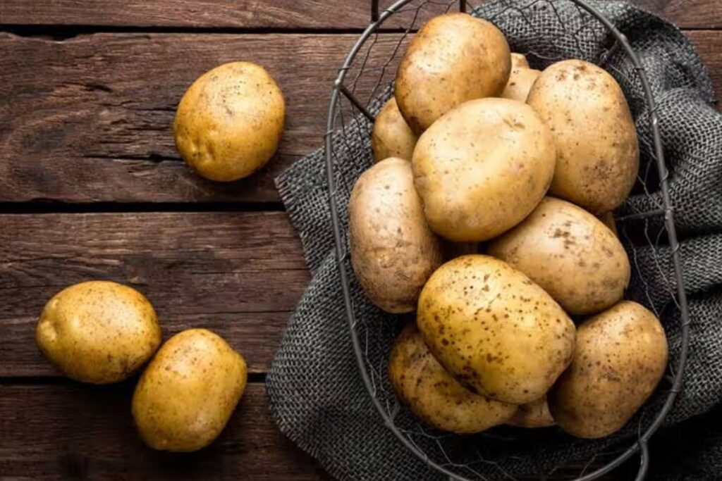 Quantité et fréquence : comment donner de la pomme de terre à votre chien ?