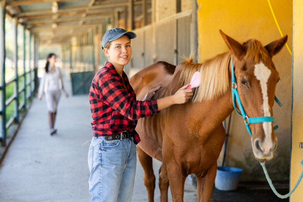 Prendre soin de votre cheval