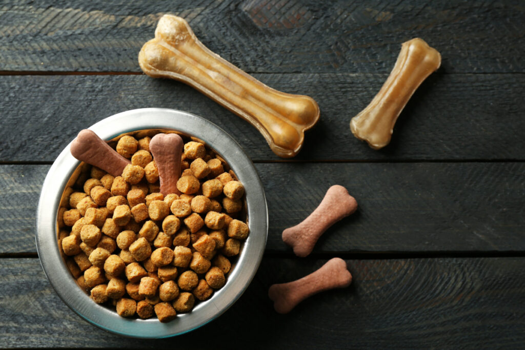 les besoins nutritionnels selon l’âge et la taille du chien