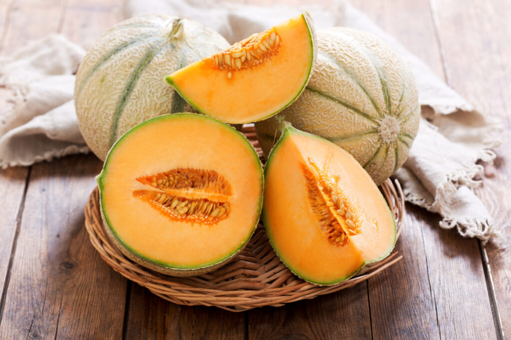 Acheter du melon de qualité pour son chien
